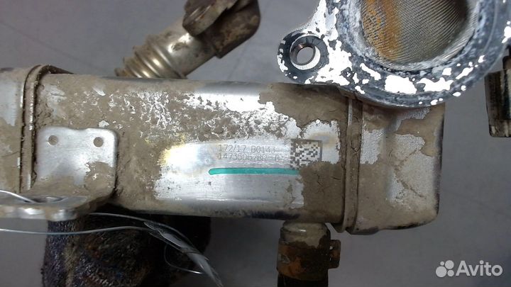 Охладитель отработанных газов Renault Trafic, 2017