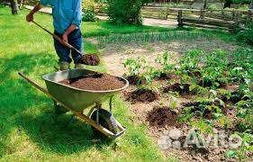 Чернозем,высокоплодородный грунт