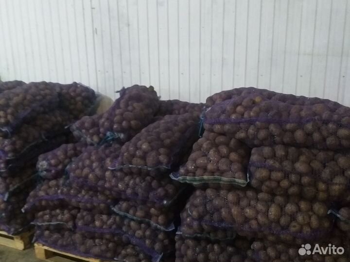 Фрукты, овощи, сухофрукты