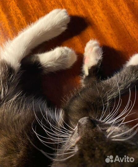 Малышка в добрые руки