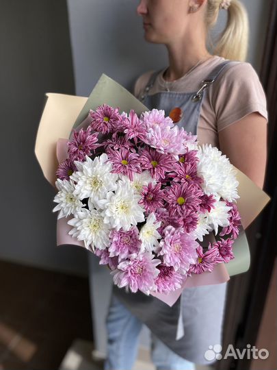 Хризантема кустовая