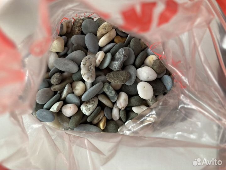 Аквариум со всем необходимым