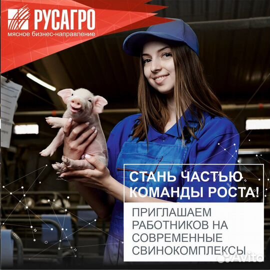 Оператор свиноводческой фермы