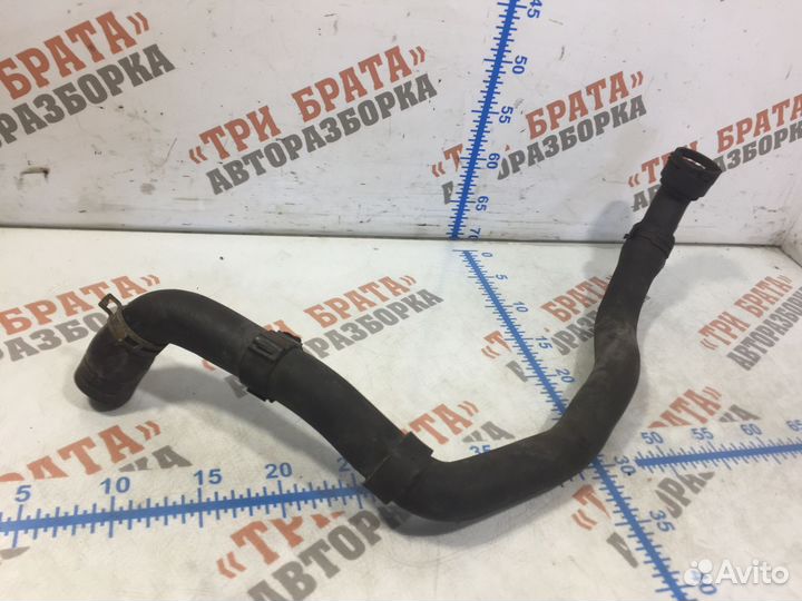 Шкода Румстер Патрубок радиатора нижний Нижн