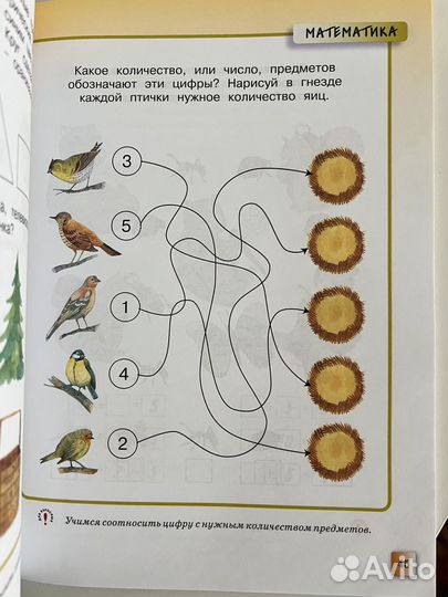 Развивающие тесты 3-4 года