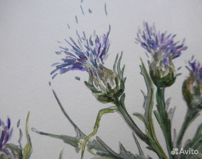 Картина / постер 