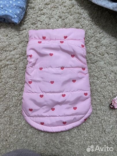 Куртка для собак мелких пород