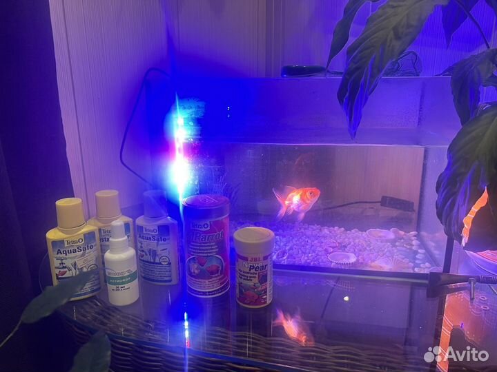 Аквариум с рыбками