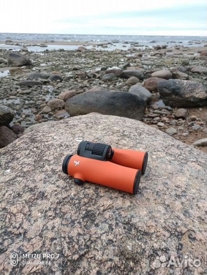 Swarovski NL pure 8X32