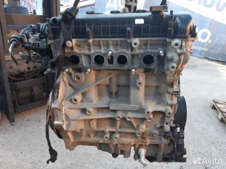 Двигатель Форд Фокус 2 1.8 qqdb