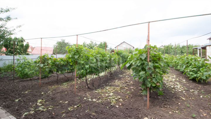 Дом 126 м² на участке 15 сот.