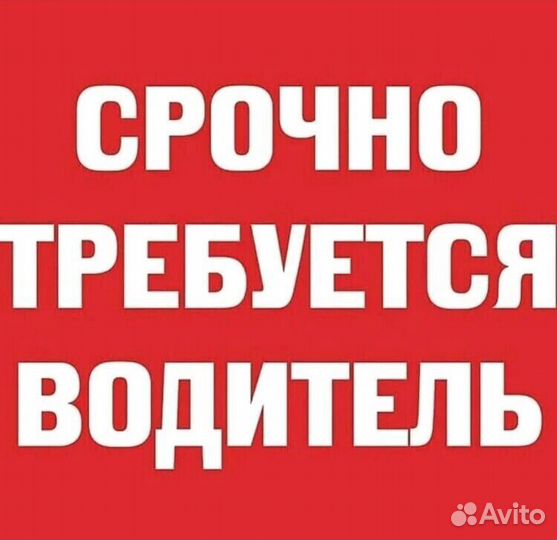 Водитель в компанию