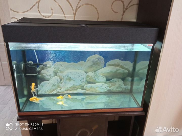 Аквариум с тумбой на 100л