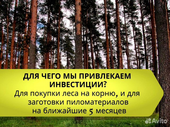 Инвестиции / Пассиный доход до 60% годовых