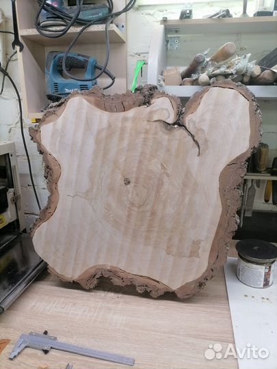 Спил дерева. Берёза