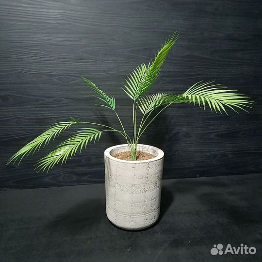 Горшки, Вазоны, Кашпо под заказ из бетона