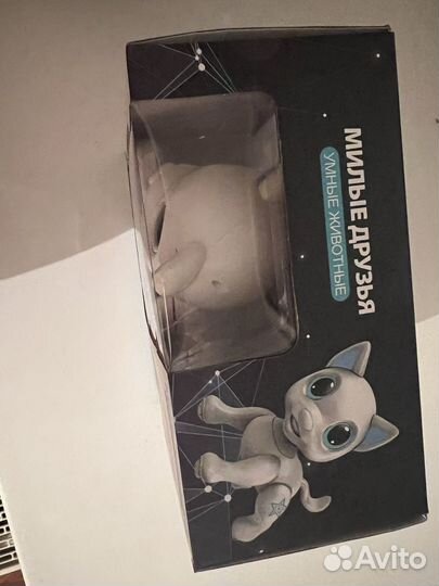 Кот с пультом