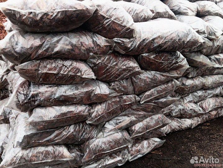 Лиственничная кора: натуральная защита