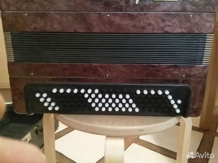 Баян Тула 202