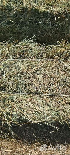 Сено в тюках