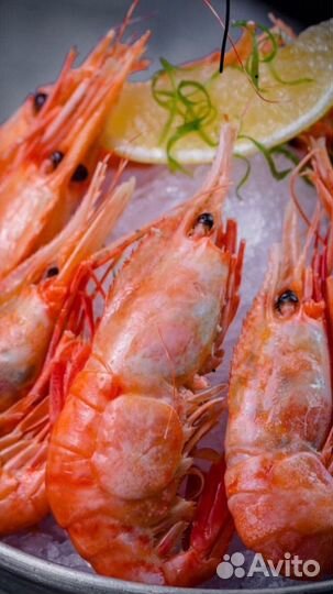 Раки живые, вареные и жаренные с доставкой