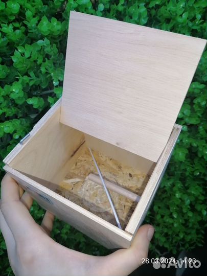 Ferplast Домик-гнездо nido mini для птиц наружный