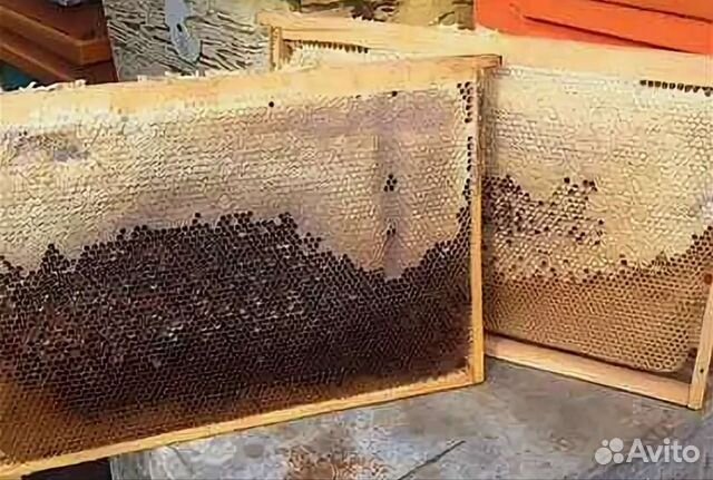 Рамки кормовые для пчел