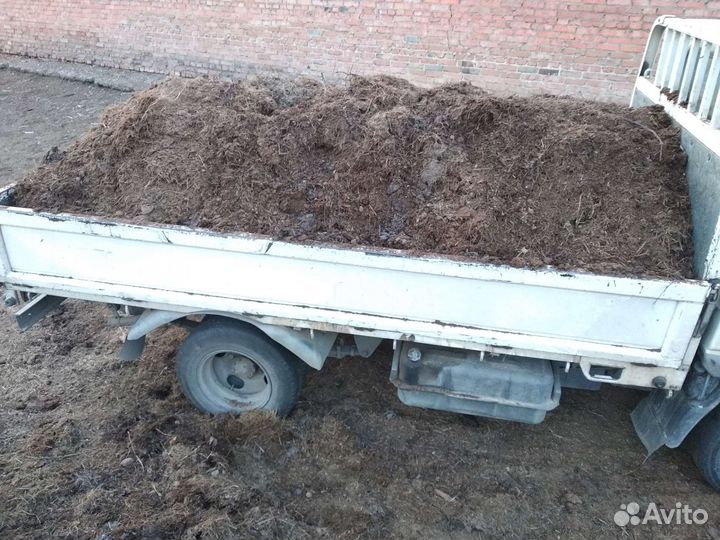 Навоз конский