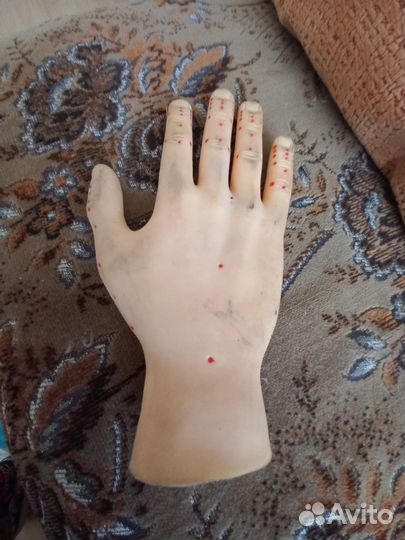 Муляж кисти руки для су джок терапии и иглотерапии