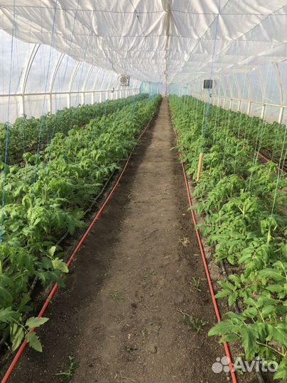 Готовый бизнес