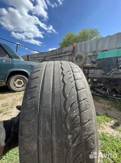 Dunlop All Season Maxx AS1 245/40 R19