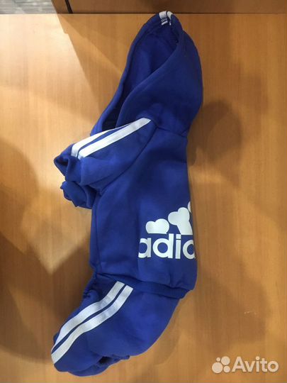 Костюм для собаки