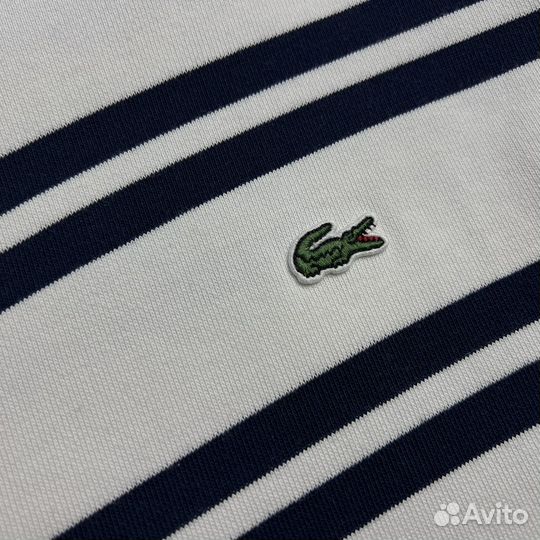 Свитшот Lacoste