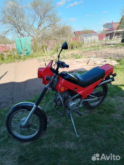 Зид пилот 50