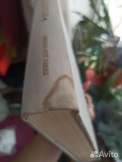 Книга Искусство легендарного академика Алпатова