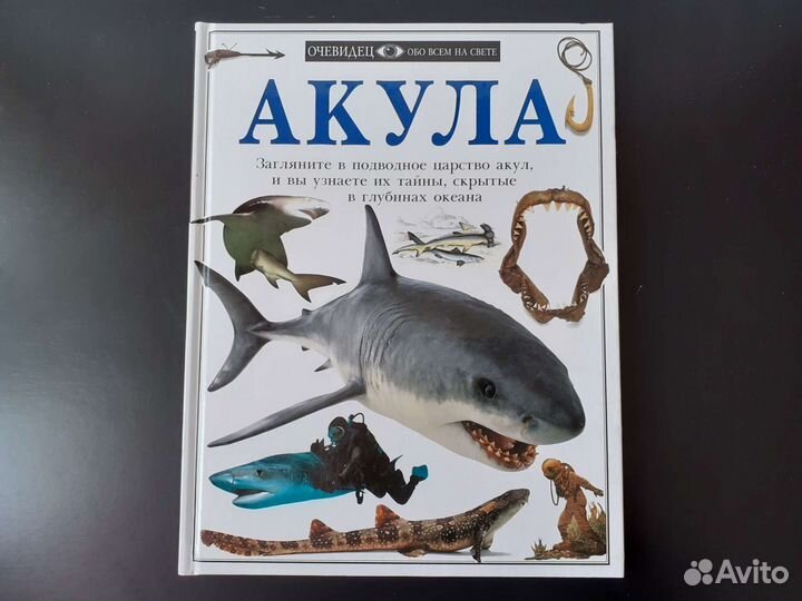 Книги про акул
