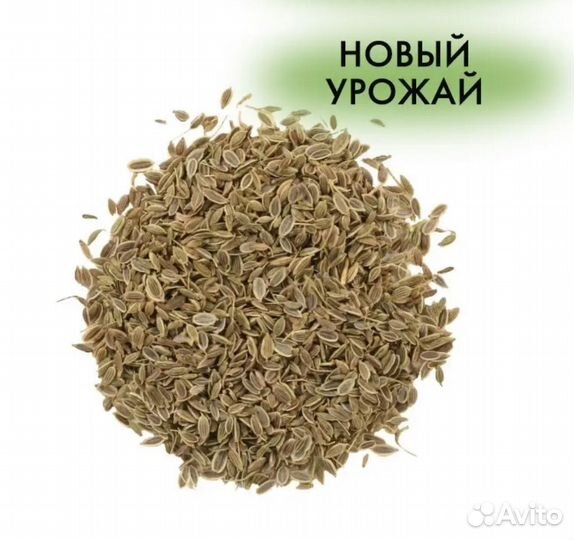 Продам семена укропа