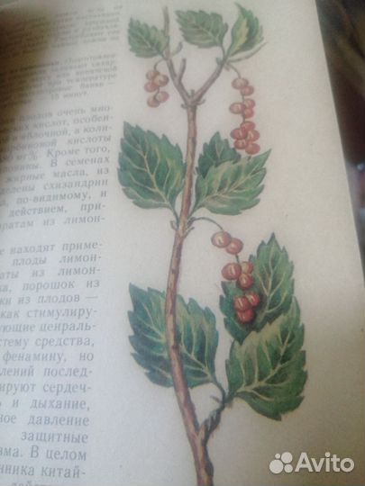 Травы книга