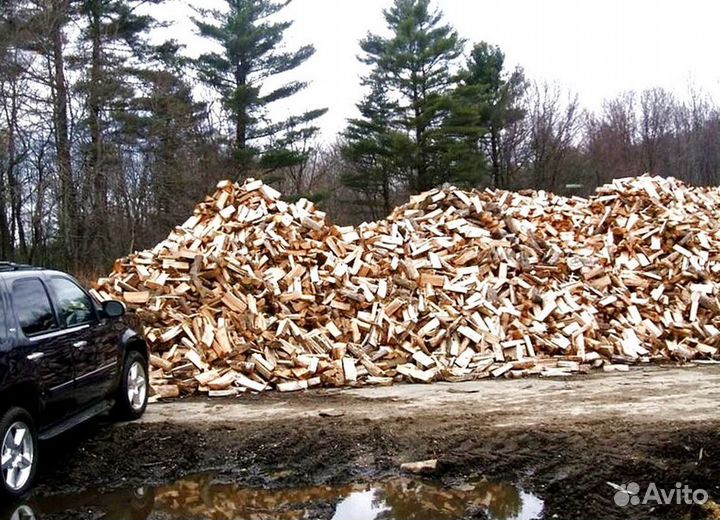 Дрова осина