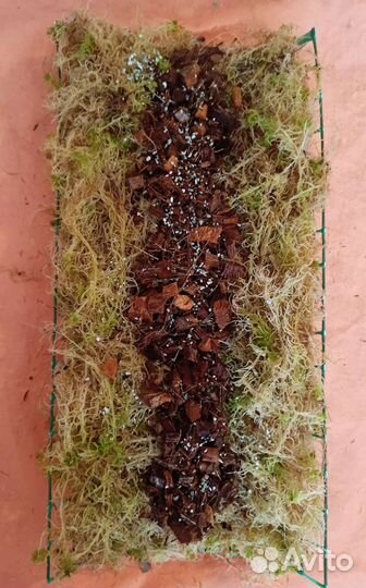 Тотем (опора) для растений