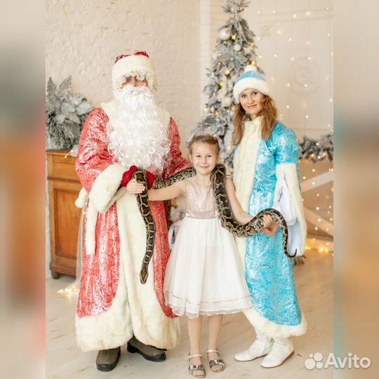 Дед Мороз фокусник с зверушками и Снегурочкой