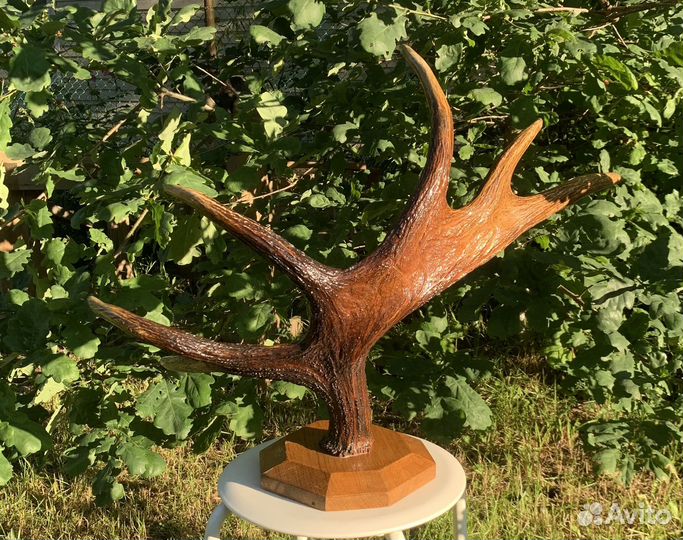Рога лося. Вешалка