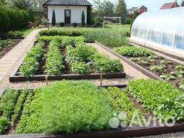 Чернозем,высокоплодородный грунт