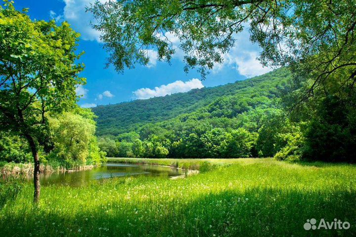 Оформление земельных участков под коммерцию