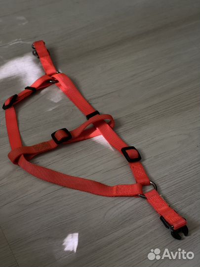 Амуниция для средних собак