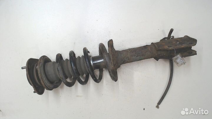 Амортизатор подвески Daihatsu Terios 2, 2007