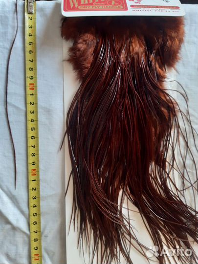 Перья австралийского петуха