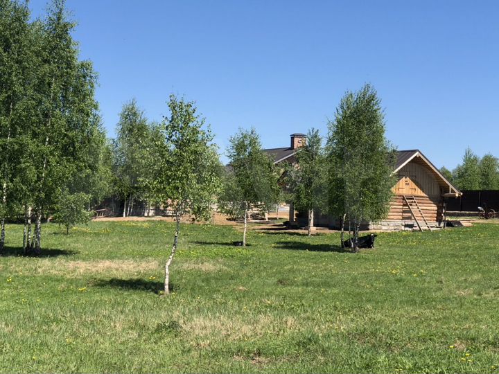 Участок 12 сот. (СНТ, ДНП)