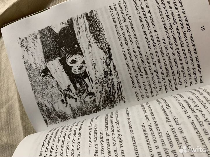 Книга «Сын полка»