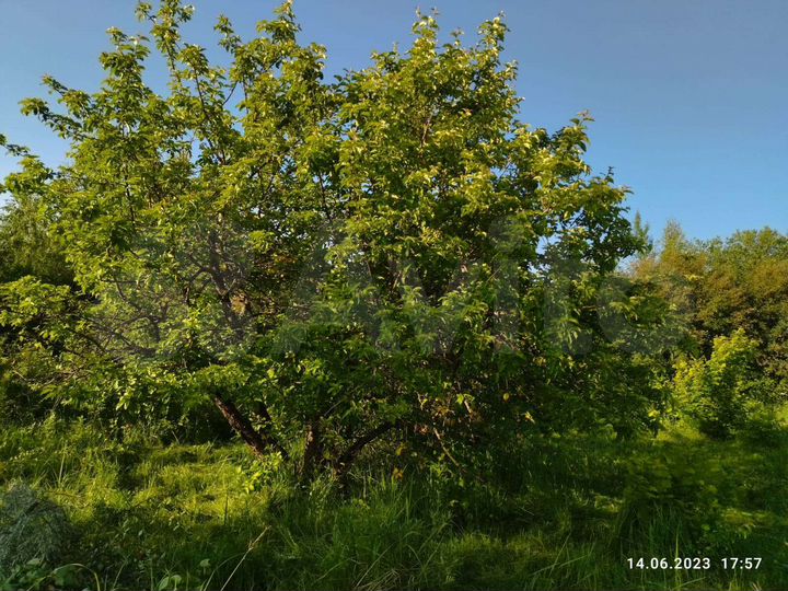 Участок 7,1 сот. (СНТ, ДНП)